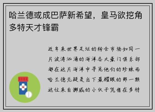 哈兰德或成巴萨新希望，皇马欲挖角多特天才锋霸